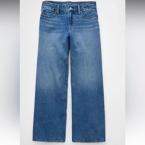 AE Strigid Low-Rise Ultra Wide-Leg Jean